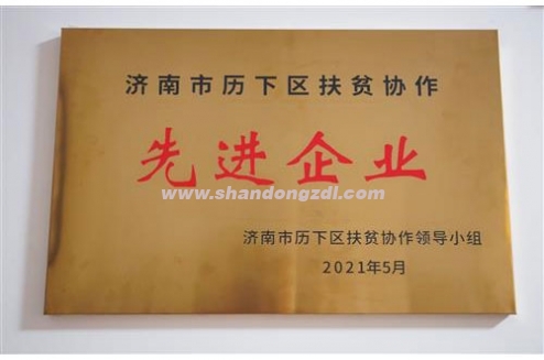 扶貧協(xié)作先進企業(yè)